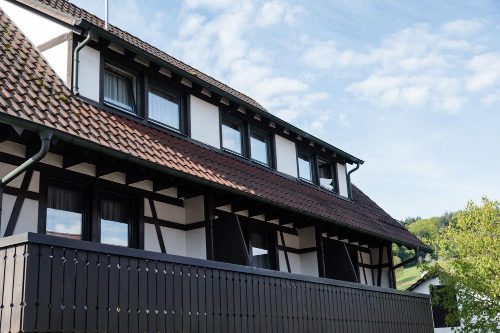 Landgasthof Ochsen Seelbach (Baden-Wurttemberg) Exterior foto