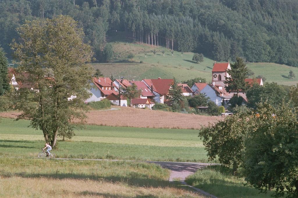 Landgasthof Ochsen Seelbach (Baden-Wurttemberg) Exterior foto